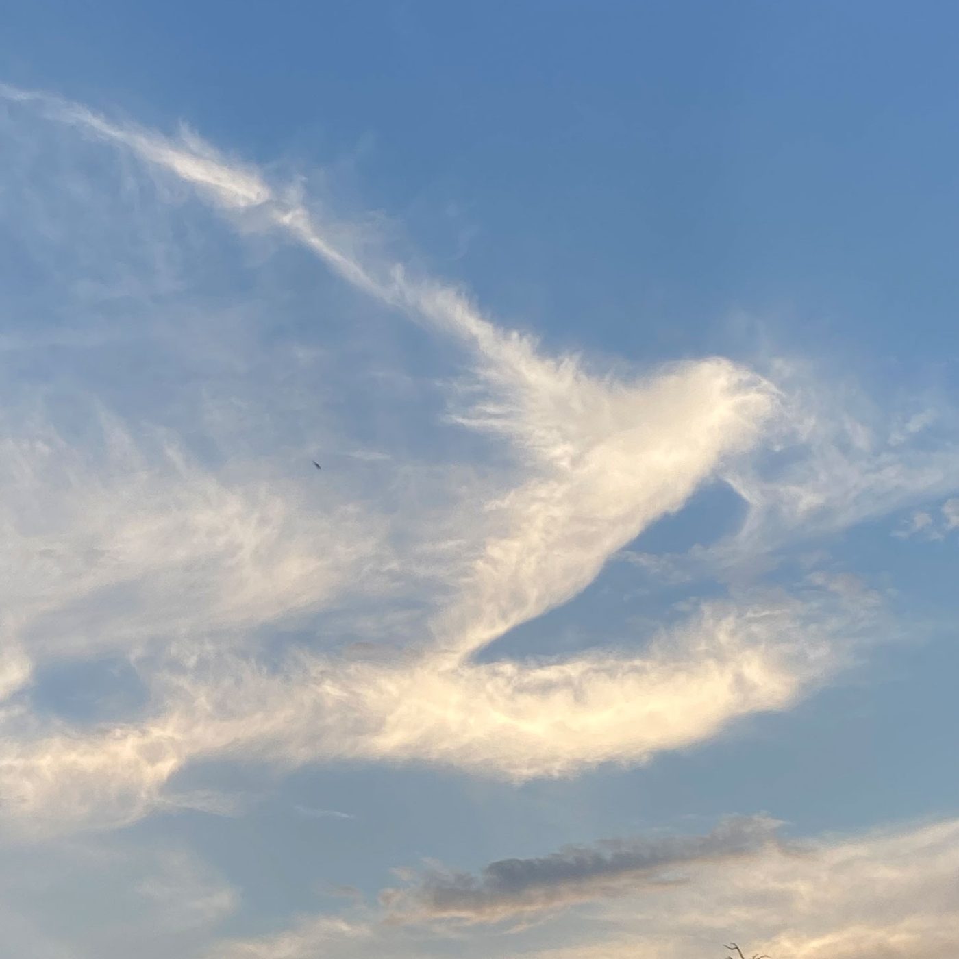 Sky, WeAva mood