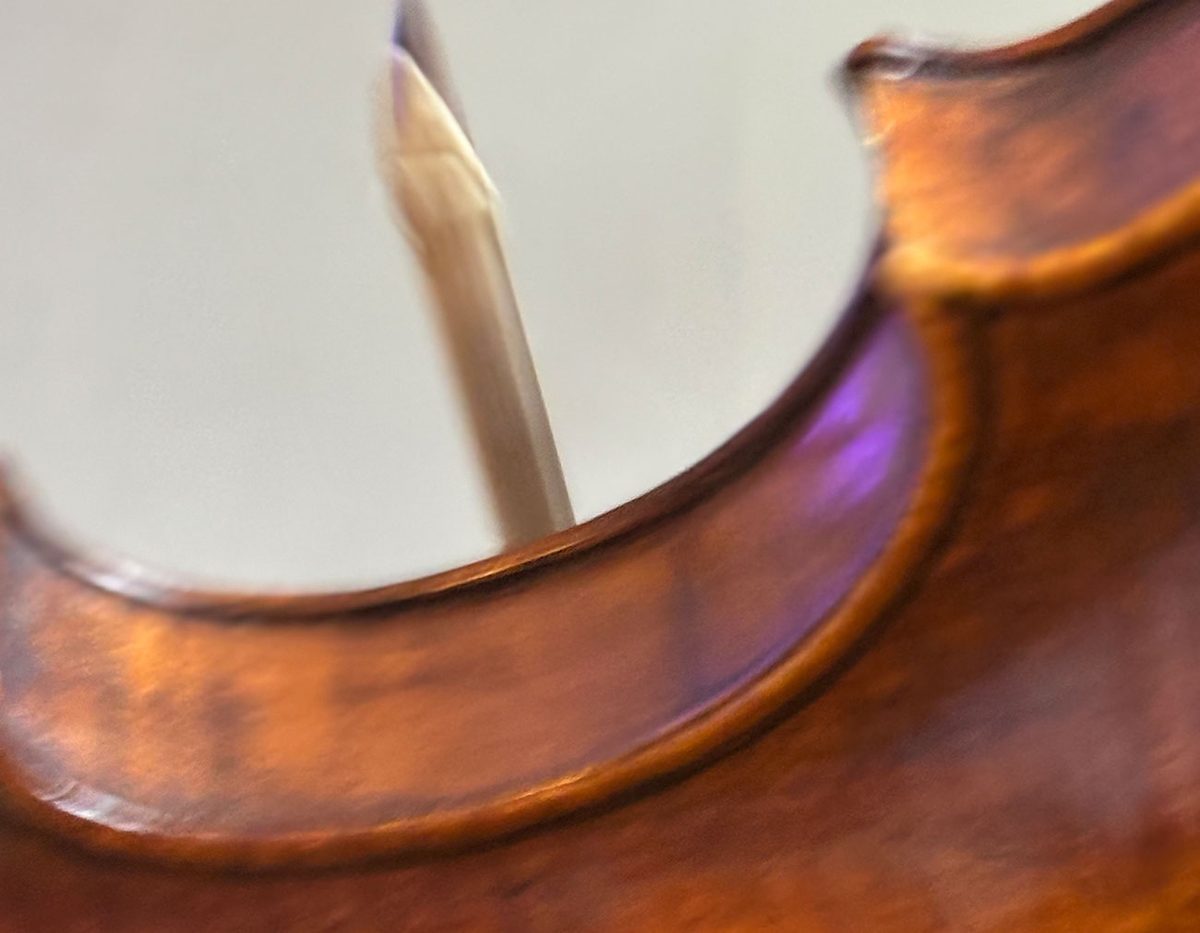 Live-Musik, Geige
